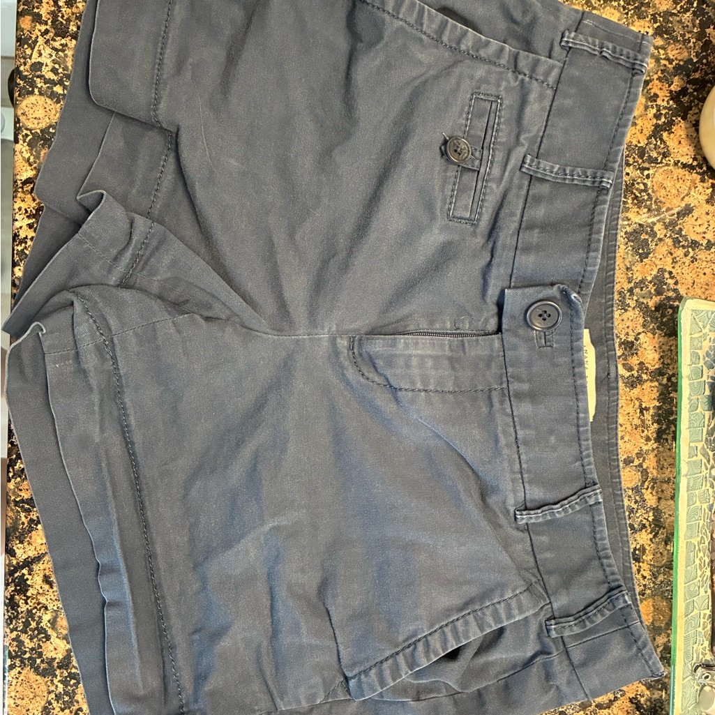 Banana Republic Dark Blue Martin Fit Shorts